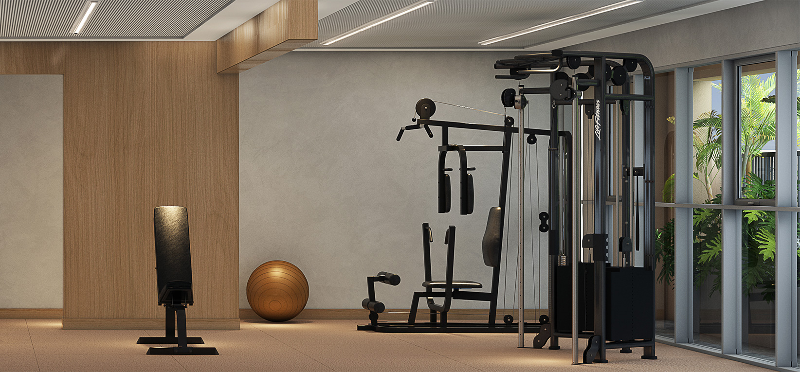 Fitness - Perspectiva Artística 