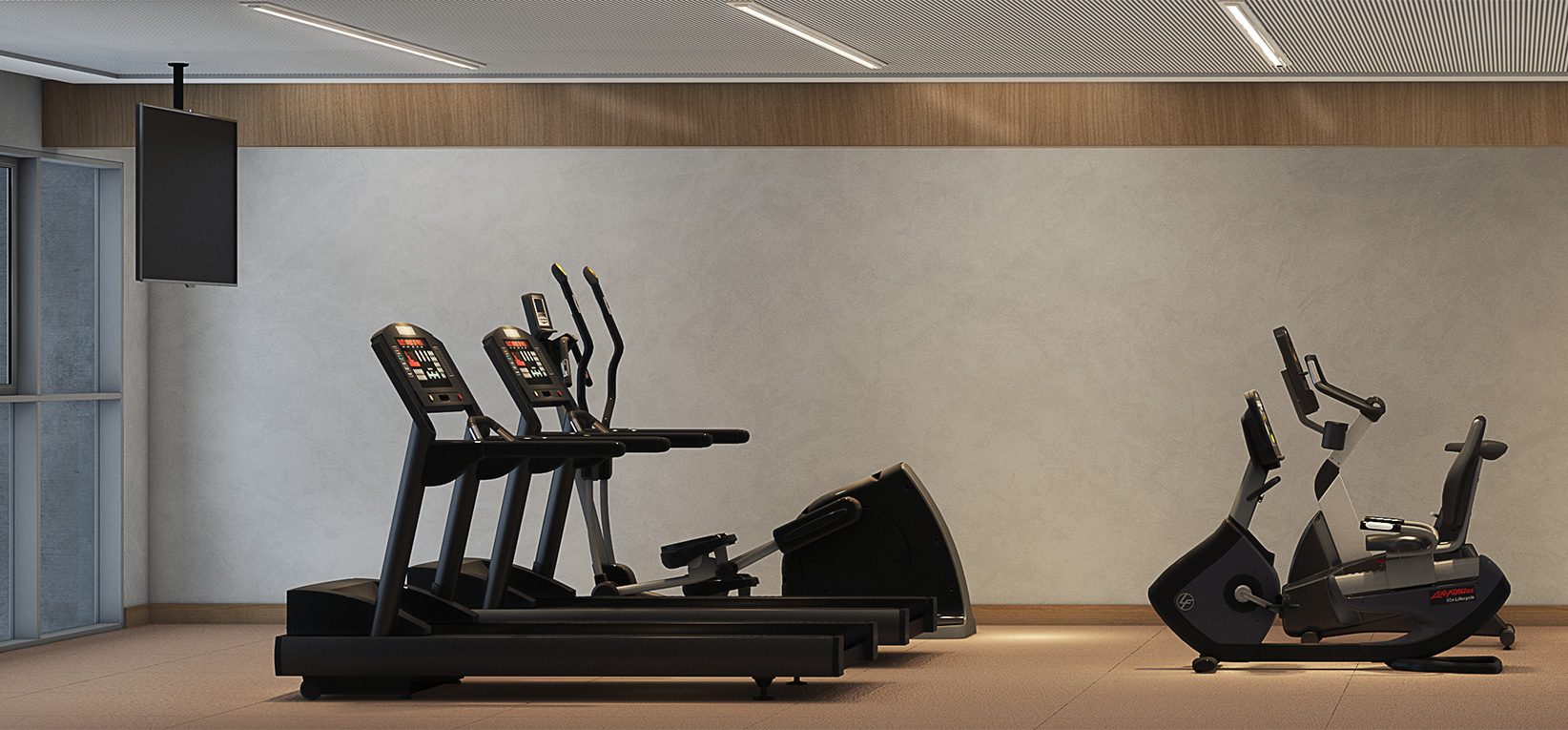 Fitness - Perspectiva Artística 